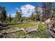 Scenic view of a lush meadow with scattered trees and mountain views, creating a serene and picturesque landscape at 20951 Pleasant Park Rd, Conifer, CO 80433