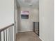 Upper hallway with carpeting, safety gate, and access to bedrooms at 3260 Jonquil St, Castle Rock, CO 80109