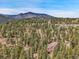 Drone view of a home surrounded by green trees at 3726 Spring Valley Trl, Evergreen, CO 80439