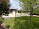 A spacious backyard shows a lush lawn surrounded by mature trees and blooming lilac bushes at 6085 Simms St, Arvada, CO 80004