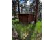 Small shed with dark siding nestled among green grass and trees at 27447 Upper Cold Spg Gulch Rd, Golden, CO 80401