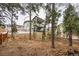 Scenic view of back of home nestled among the trees with balconies at 16070 Misty Rain Ct, Monument, CO 80132