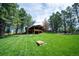 Expansive backyard with lush lawn, mature trees, outdoor seating areas, and a cornhole game setup at 2231 Meadow Green Cir, Franktown, CO 80116