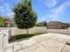 Private backyard featuring concrete patio, white fencing, and a mature tree, perfect for outdoor entertaining at 2258 Whistler Dr, Longmont, CO 80504