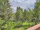 Scenic view of lush backyard with mature trees creating a serene and private outdoor space at 12348 Quartz Spur, Conifer, CO 80433