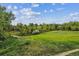 Lush backyard featuring a walking path through a grassy meadow and mature trees under a blue sky with clouds at 2041 W Briarwood Ave, Littleton, CO 80120