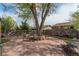 Spacious backyard with a central tree, stone patio, landscaping, and fire pit at 1313 Garden Cir, Longmont, CO 80501