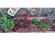 Decorative garden bed showcasing bright flowers, greenery, and rustic signage at 1313 Garden Cir, Longmont, CO 80501
