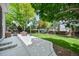 Lush backyard featuring a patio, trampoline, and well-maintained lawn at 17395 E Dewberry Dr, Parker, CO 80134