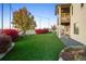 Expansive backyard featuring artificial grass, privacy trees, and a charming white fence at 1743 Homestead Dr, Fort Lupton, CO 80621