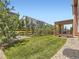 Backyard with grassy lawn, a wooden pergola-covered deck, and trees at 10045 Copenhagen St, Parker, CO 80134