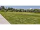 Expansive community park with green space, playground, and picnic areas at 9545 Grand Cypress Cv, Lone Tree, CO 80124