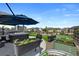 Inviting backyard with hot tub, patio umbrella, and raised garden beds for relaxation and gardening at 12826 Lake Port St, Longmont, CO 80504