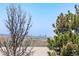 View of the Denver skyline through the trees at 4605 Copeland Loop # 103, Highlands Ranch, CO 80126