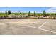 Outdoor basketball court available for residents at 10065 Cairns Ct, Highlands Ranch, CO 80130