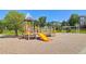 Community playground featuring slides, climbing structures and play area for outdoor fun at 10065 Cairns Ct, Highlands Ranch, CO 80130