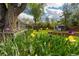 Flower garden and lush backyard featuring a storage shed at 8390 E Davies Pl, Centennial, CO 80112