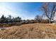 Large backyard showing the surrounding fence and trees at 15716 E Temple Pl, Aurora, CO 80015