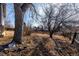 Expansive backyard with mature trees and a wood fence at 15716 E Temple Pl, Aurora, CO 80015