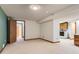 Finished basement area with neutral carpeting, a utility sink, cabinetry, and access to storage at 7946 S Pennsylvania Ct, Littleton, CO 80122
