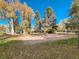 Open grassy field with mature trees offering shade and a clear blue sky above at 1300 S Parker Rd # 212, Denver, CO 80231