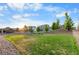 Spacious backyard on a sunny day with trampoline, trees, and new sod at 4145 Manorbrier Cir, Castle Rock, CO 80104