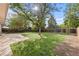 Large backyard with grass, mature shade tree, and concrete patio at 5463 Shoshone St, Denver, CO 80221