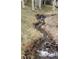 Scenic view of a peaceful stream flowing through a property with aspen trees at 21221 Colorado 103, Idaho Springs, CO 80452