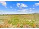Expansive open field dotted with cattle under a bright blue sky with scattered clouds, enclosed by a wire fence at 1232 Berganot Trl, Castle Pines, CO 80108