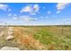 Expansive open field dotted with cattle under a bright blue sky with scattered clouds, enclosed by a wire fence at 1232 Berganot Trl, Castle Pines, CO 80108