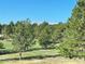 Scenic view of snow-capped mountains from a property surrounded by lush, mature trees at 19050 Archers Dr, Monument, CO 80132