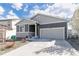 Attractive single-Gathering home boasting a two-car garage, low maintenance front yard, and welcoming entrance at 2578 Gray Wolf Pl, Castle Rock, CO 80104