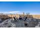 Backyard with a fire pit, seating, unique landscaping, and a tranquil setting at 671 Green Mountain Dr, Erie, CO 80516