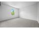 Bright bedroom with neutral carpet, a window providing natural light, and fresh paint at 8603 Barberry Pl, Parker, CO 80134
