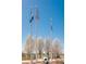 Flags flying on tall poles against a bright blue sky surrounded by budding trees in a neighborhood park at 13742 Valentia St, Thornton, CO 80602