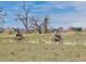 Two cyclists on a paved neighborhood path lined with green grass and interesting trees in a relaxed setting at 13742 Valentia St, Thornton, CO 80602