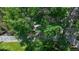 Lush backyard featuring a well-maintained lawn and a white picket fence at 10532 Madison St, Thornton, CO 80233