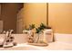 Bathroom sink with elegant soap and plant decor at 2501 Remington Rd, Elizabeth, CO 80107