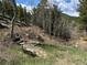 Backyard with a bench, trees, and a sense of peace and quiet at 72 Rudi W Ln, Golden, CO 80403