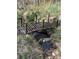 A decorative metal bridge spans a small stream, nestled among plants and stones at 72 Rudi W Ln, Golden, CO 80403