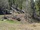 A serene outdoor scene featuring a natural bench and trees at 72 Rudi W Ln, Golden, CO 80403