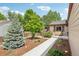Well-maintained front yard with a concrete walkway, mature trees, and wood mulch ground cover at 912 Oakwood Dr, Castle Rock, CO 80104