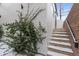 Exterior side view of stairs leading to the entrance and green shrubbery at 434 Clayton St, Denver, CO 80206