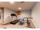 Basement workout room featuring a treadmill, weight machines, and neutral carpet at 17085 E Dorado Cir, Centennial, CO 80015