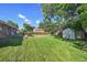 Lush backyard featuring a green lawn, shed, and mature trees, perfect for outdoor enjoyment at 8250 Chase Way, Arvada, CO 80003
