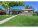 Charming brick home with a lush green lawn and mature trees, perfect for curb appeal at 8250 Chase Way, Arvada, CO 80003