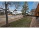 Grassy backyard enclosed by a white fence, offering privacy and a tranquil outdoor space at 7506 Chipmunk Pl, Littleton, CO 80125