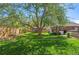 Picturesque backyard featuring a large shade tree, trampoline, hammock, and grassy lawn at 6925 W 27Th Ave, Wheat Ridge, CO 80033