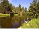 A tranquil pond reflecting the surrounding trees and blue sky, evoking natural beauty at 222 Greystone Rd, Evergreen, CO 80439