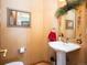 A quaint powder room featuring a pedestal sink and decorative floral motif wall accent at 76 Raven Ridge Rd, Idaho Springs, CO 80452